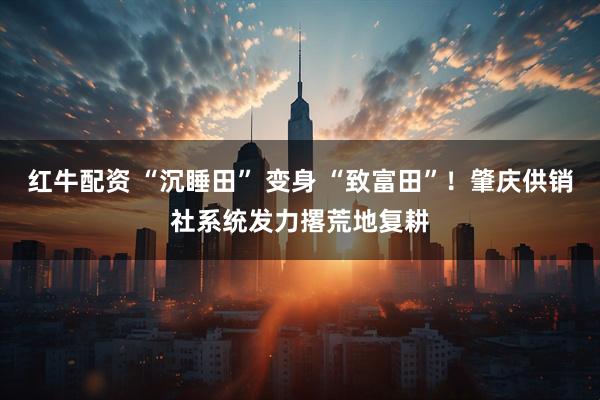 红牛配资 “沉睡田” 变身 “致富田”！肇庆供销社系统发力撂荒地复耕